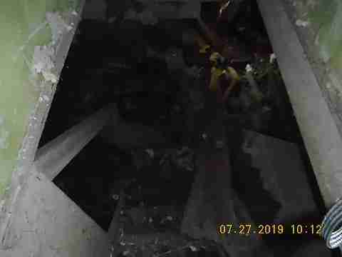 16737 Dolphin (26)_m.jpg